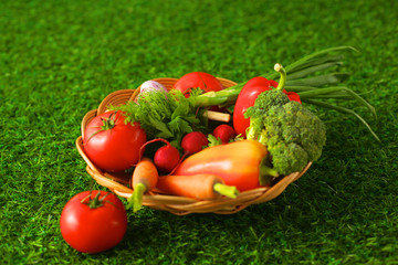 Fresh vegetables in a plate on the grass. Healthy food. Diet