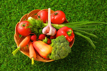 Fresh vegetables in a plate on the grass. Healthy food. Diet
