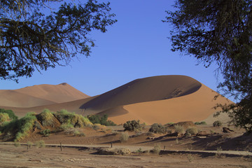 Fototapeta na wymiar Namibia, Sossusvlei, Namibwüste, Sand, Hitze