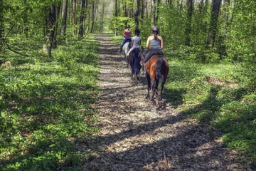 Fototapete Reiten Young girls riding on horseback through the forest  © eyecon