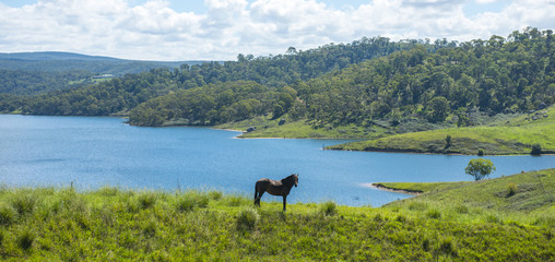 Fototapeta na wymiar View from Lithgow countryside town in NSW Australia