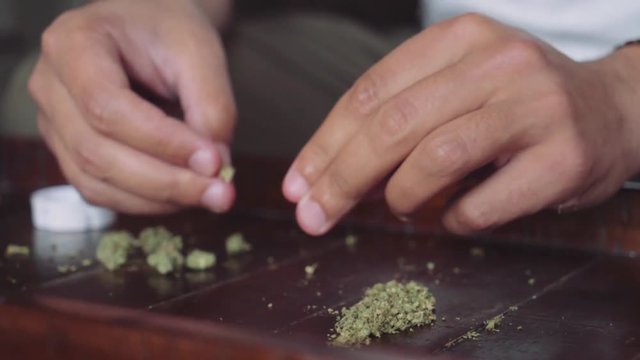 BREAKING APART WEED - FUJI COLOR GRADE