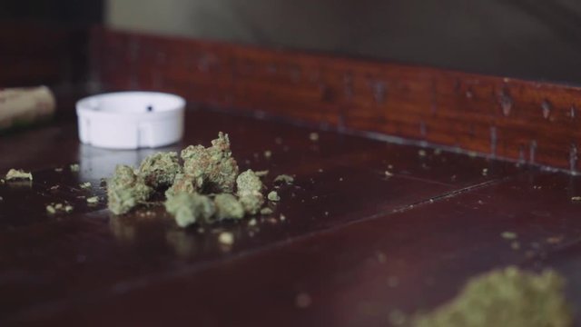 WEED ON WOOD TABLE - FUJI COLOR GRADE