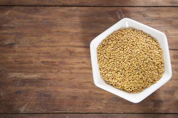 Seeds alfalfa - Medicago sativa
