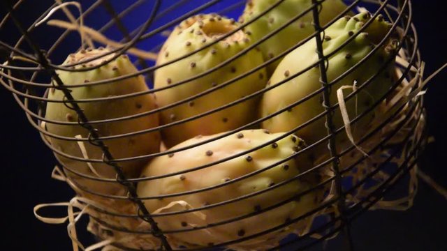 Opuntia ficus-indica Tuna Fico d'India Prickly pear Ficodindia Indian Video Viikunaopuntia fig Chumbera Flora Опунция индийская &Phi;&rho;&alpha;&gamma;&kappa;&omicron;&sigma;&upsilon;&kappa;&iota;ά Nopal 梨果仙人掌 Opuncja figowa صبير التين الهندي