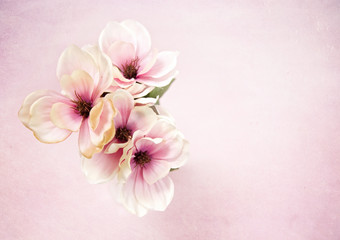 Naklejka na ściany i meble Beautiful White and Pink Silk Flowers on a Pink Background