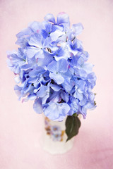 Beautiful Blue Silk Hydrangea Flowers on a Pink Background