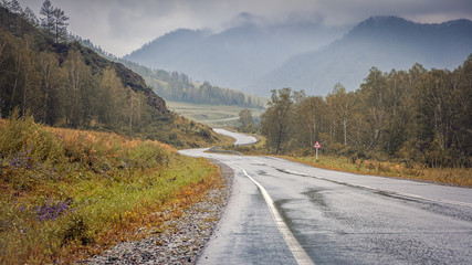 Fototapeta premium Landscape of mountains in the autumn day. Automobile winding road, leaving in the distance into the mountains between the green coniferous forest, the mountains of the Altai , sky in the mountains