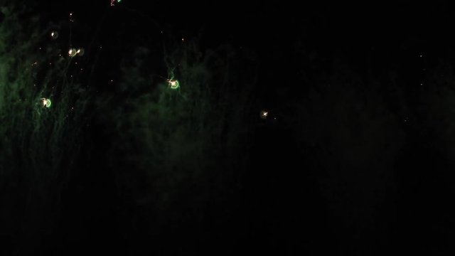 花火、動画素材、打ち上げ、japan、Stock Footage、fireworks、大会、夏、栃木、茂木、ツインリンクもてぎ、祭、まつり、夏、風物詩、hanabi、