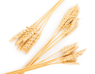 Ears of wheat