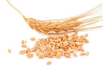 Ears of wheat