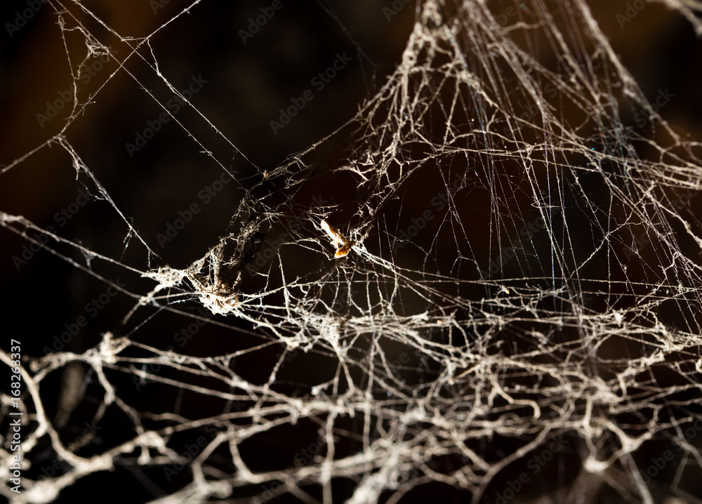 Sticker spider web on the ceiling as a background