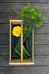 Dill, cucumbers, zucchini and yellow pattypan summer squash in a wood and wire basket or hod. Photographed on weathered wood planks. 