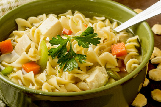 chicken noodle soup