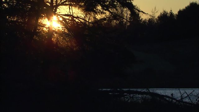 Sun shines through trees at pond at sunset.