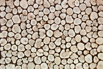 Background of wooden slices