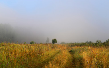 Photo of a rural landscape in a fog