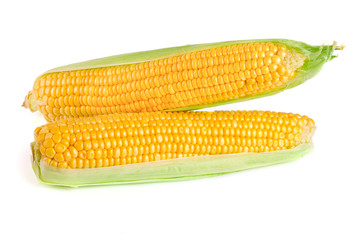 ear of corn isolated on a white background
