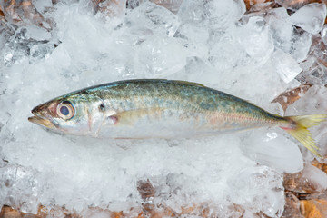 Fresh raw fish on ice on a wooden table.