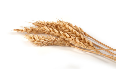 Some spikelets of wheat