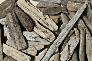 Driftwood background. Gray snags background