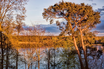 Abendsonne am See