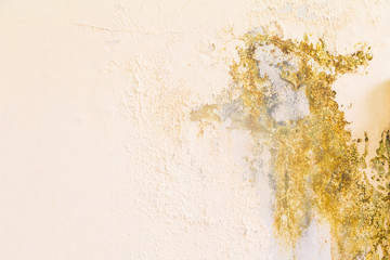 old color texture cracked wall abstract cement for background with copy space add text