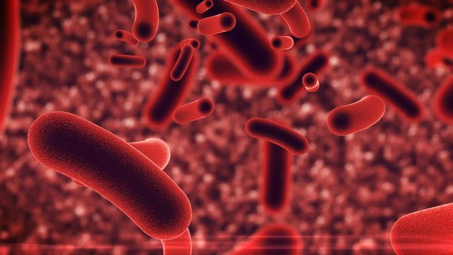 3D rendering of Bacteria infection under microscope. 