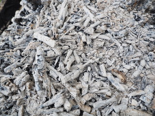 Ash and coals from the fire