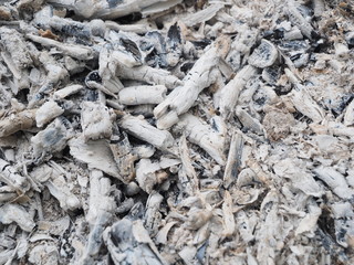 Ash and coals from the fire