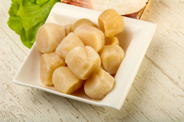 Raw scallops heap