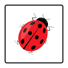 Ladybird red icon