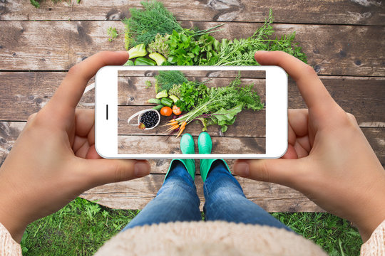 Woman taking picture of vegetables