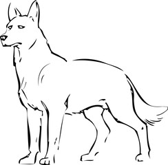 Hand-painted art design. Adult anti-stress coloring page. Black and white hand drawn illustration for coloring book. Number two thousand and eighteen zentangle object with dog.