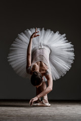 Young beautiful dancer is posing in studio - obrazy, fototapety, plakaty
