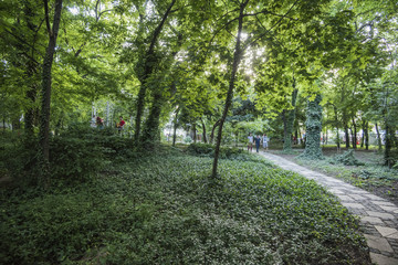 People walking in a park in Bucharest city center