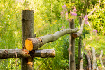 The fence is handmade from trees trunk. The rural design of the fence site. Fence for the cattle in the village.