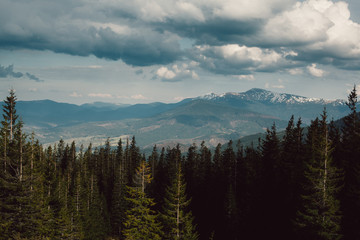 landscape in mountains Carpathians Ukraine