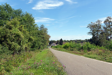 Fototapeta na wymiar Route de campagne dans le Loiret
