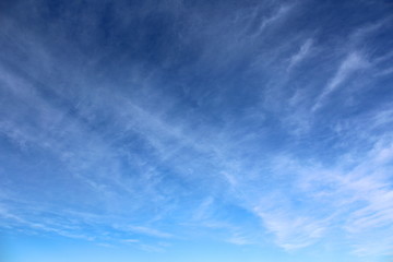 Fototapeta premium White thin clouds