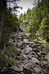 Montagne refuge ballade colibris et papilons course VTT paysages , refuge de montagne