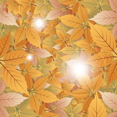 Fototapeta na wymiar Abstract Vintage Dry Leaves Background