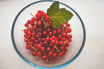 Red currant berry background