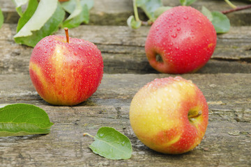 Three apples with water drops