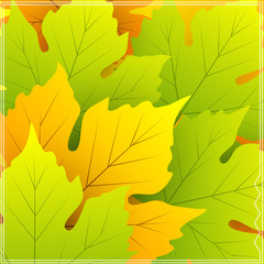 Leaves Background
