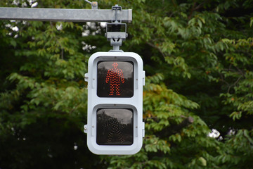 Signal for pedestrians (Japan)
