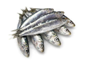 Sardinas,parrocha fresca