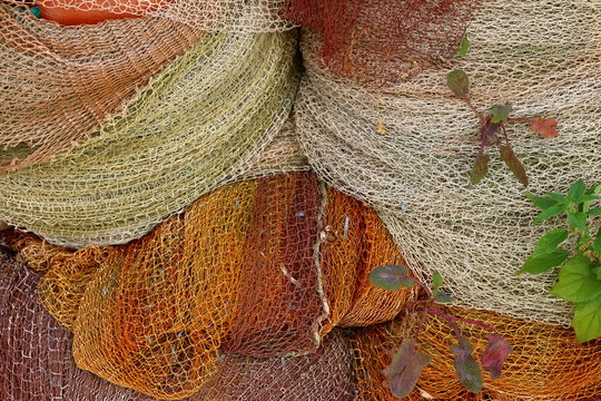 Coloured fish net