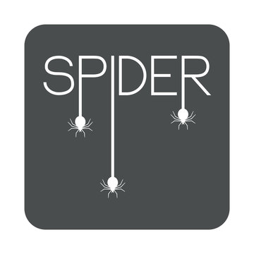 Icono plano SPIDER con arañas en cuadrado gris