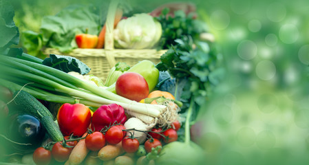Healthy food- fresh organic seasonal vegetables